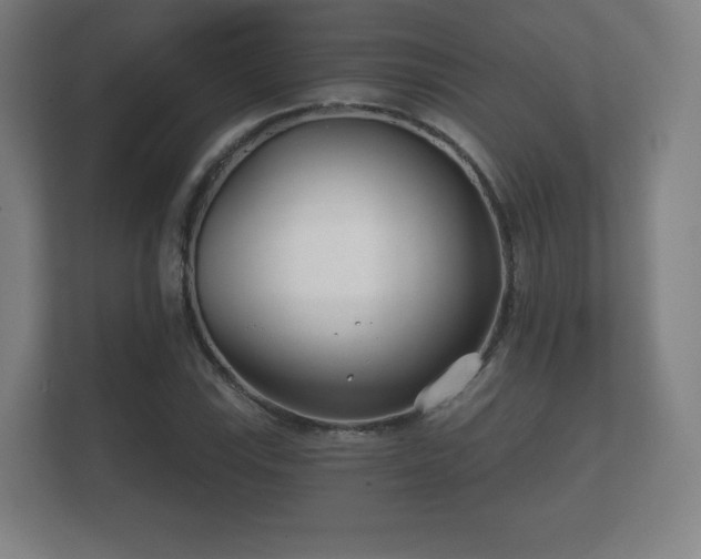 X0000112181115200908141320