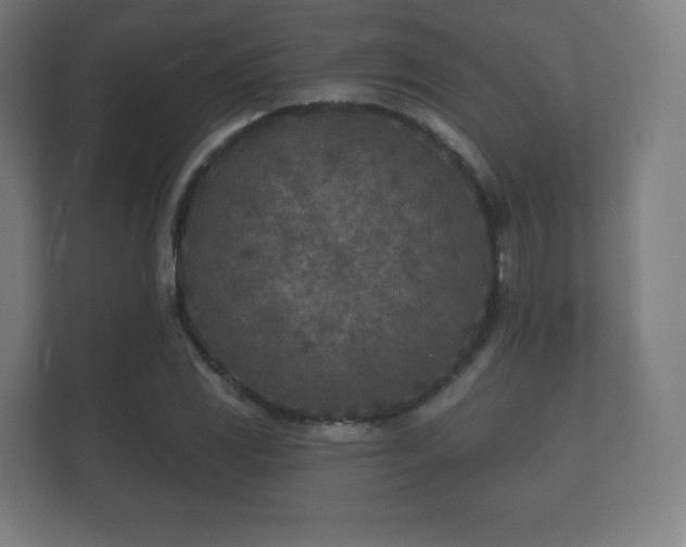 X0000112181117200908141320