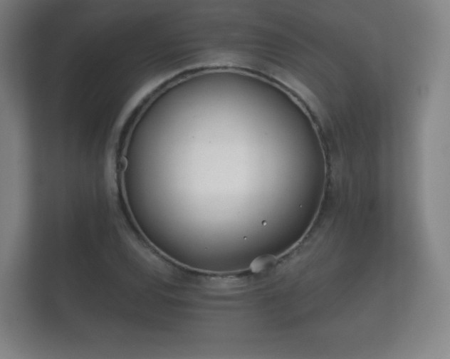 X0000112181120200908141320