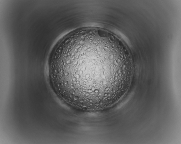 X0000112181125200908141320