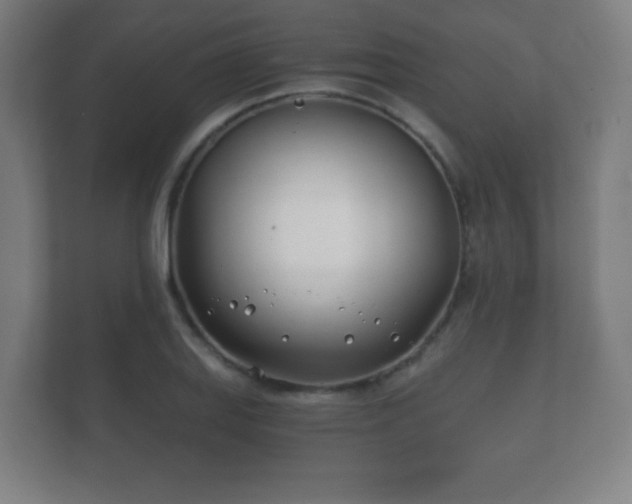 X0000112181127200908141320