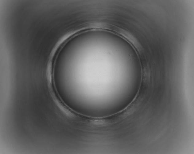 X0000112181128200908141320