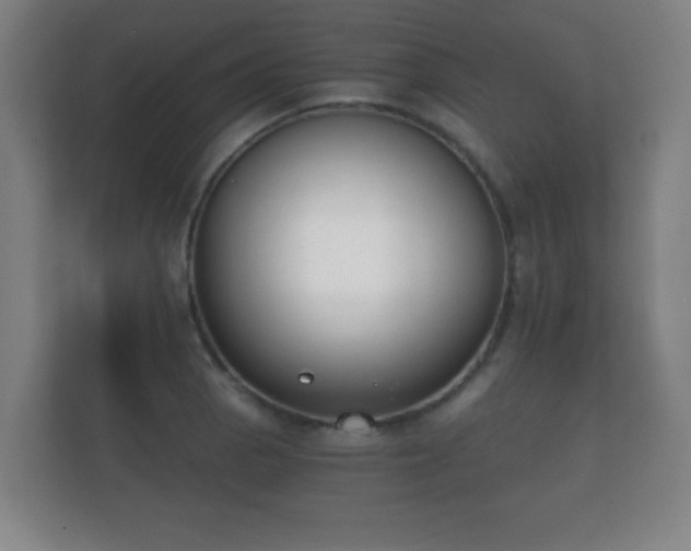 X0000112181129200908141320