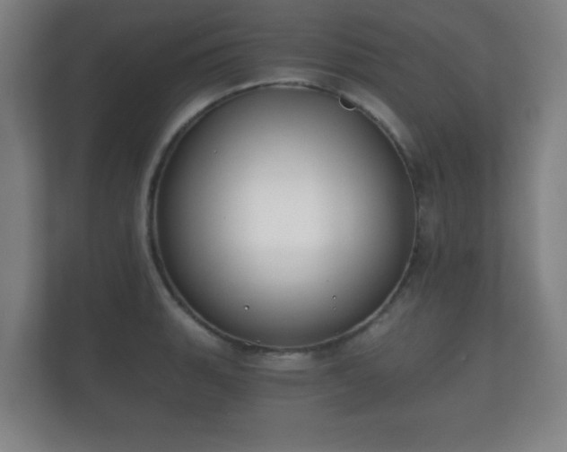 X0000112181135200908141320