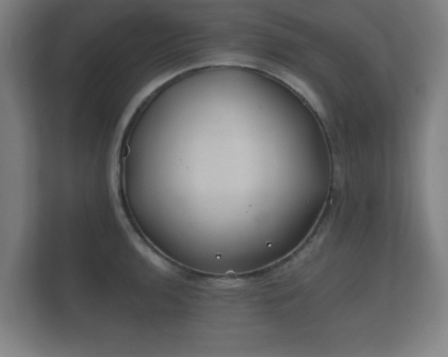 X0000112181136200908141320