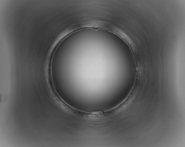 X0000112181138200908141320