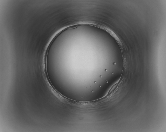 X0000112181148200908141320