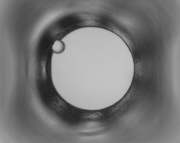 X0000112181150200908141320