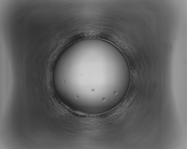 X0000112181153200908141320