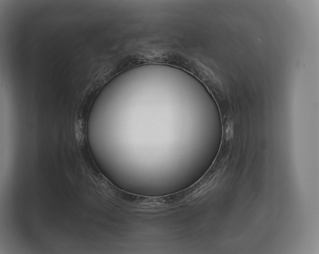 X0000112181156200908141320