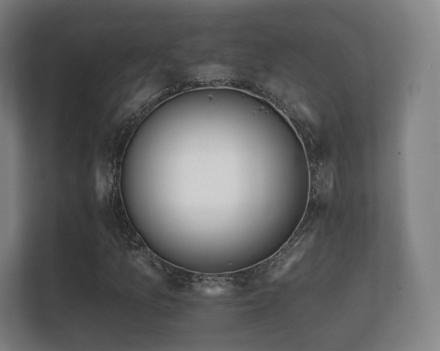 X0000112181157200908141320