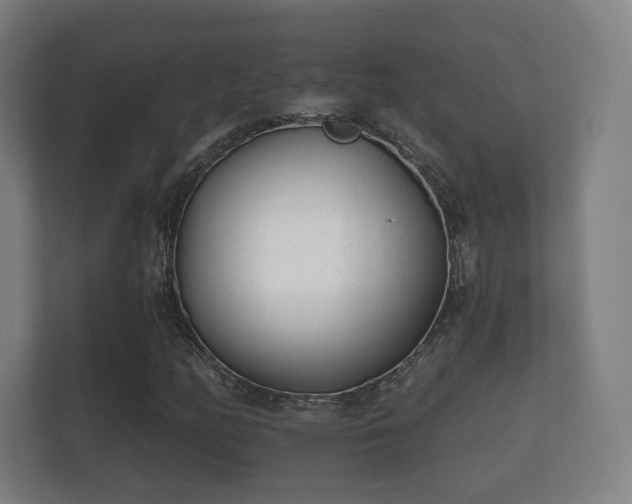 X0000112181158200908141320