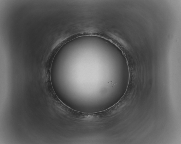 X0000112181160200908141320