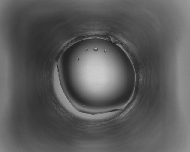 X0000112181161200908141320