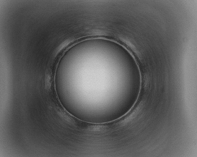 X0000112181163200908141320