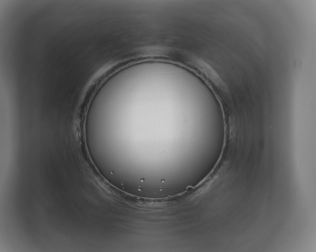 X0000112181164200908141320