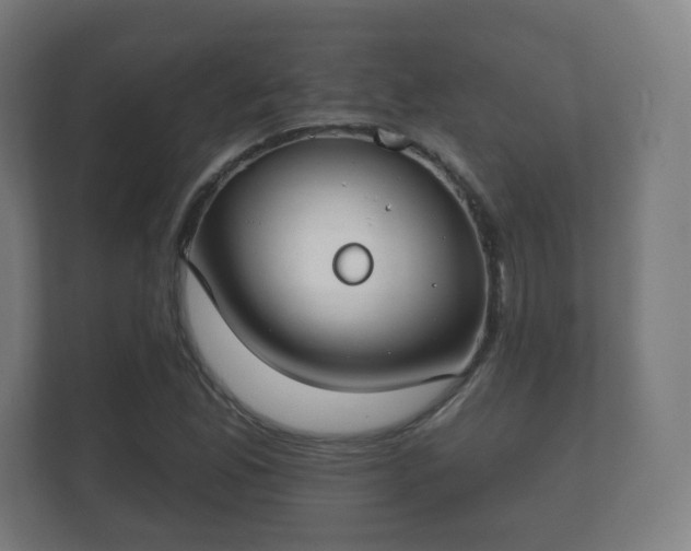 X0000112181165200908141320