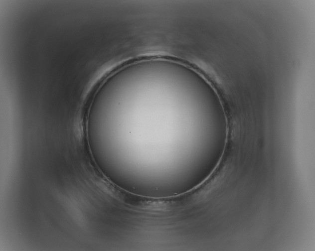 X0000112181167200908141320