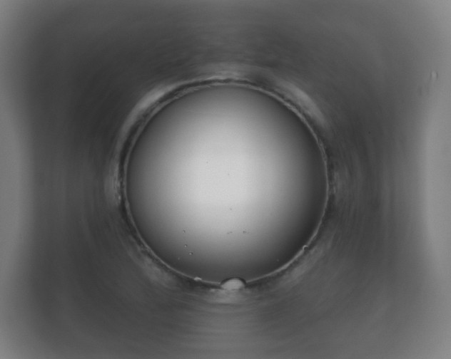 X0000112181172200908141320