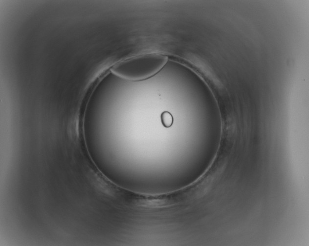 X0000112181173200908141320