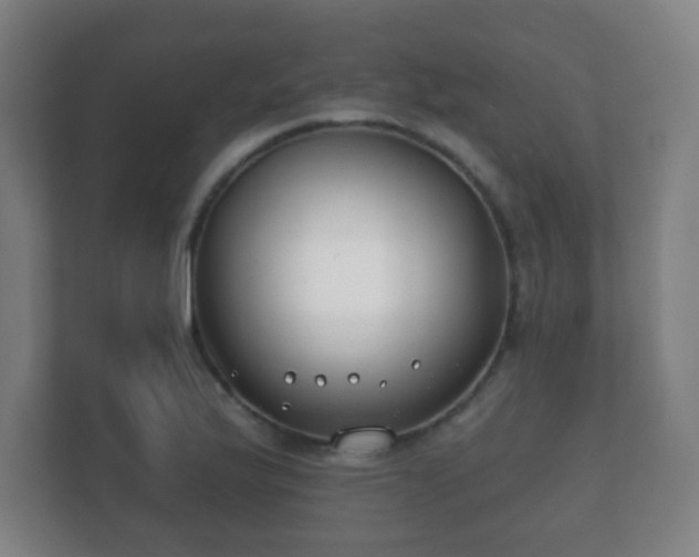 X0000112181175200908141320