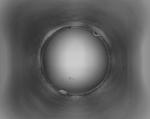 X0000112181176200908141320