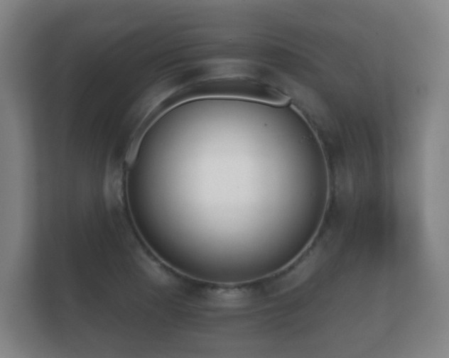 X0000112181177200908141320