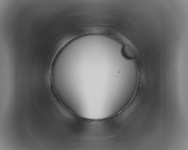 X0000112181178200908141320