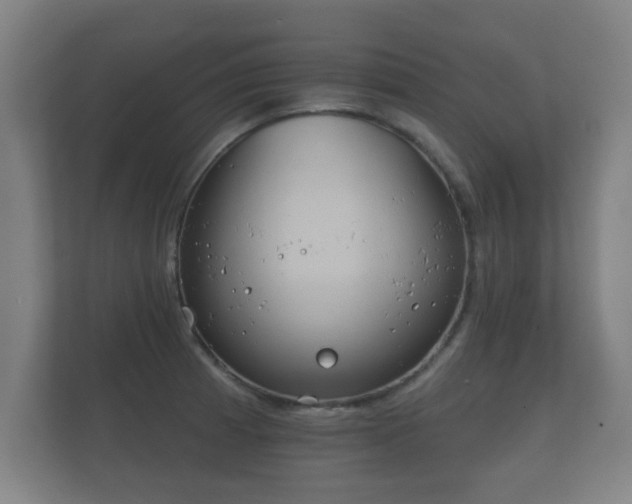 X0000112181185200908141319