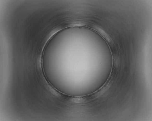 X0000112181186200908141319