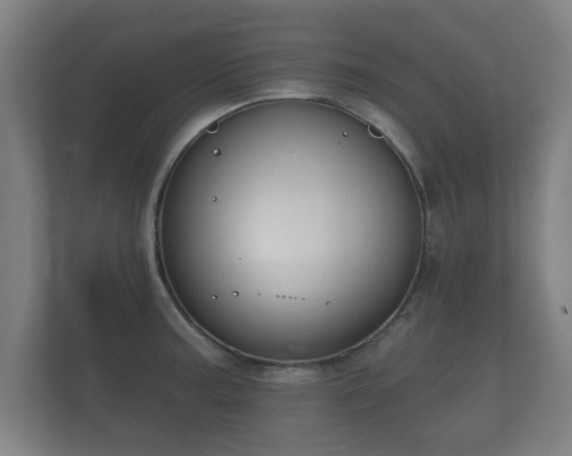 X0000112181187200908141319