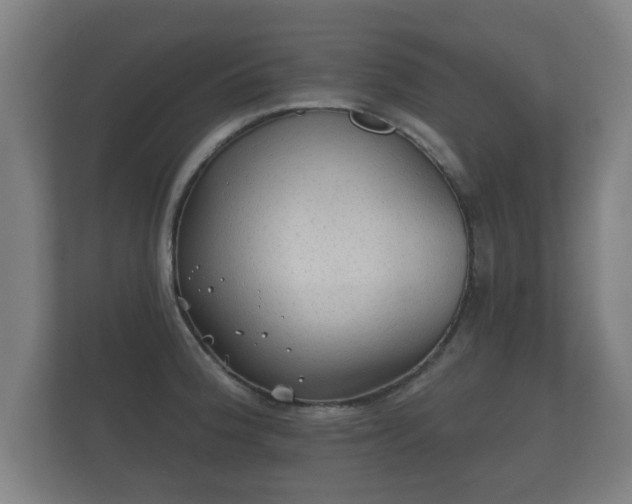 X0000112181188200908141319