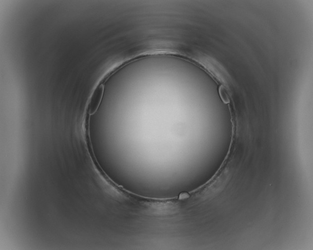 X0000112181189200908141319