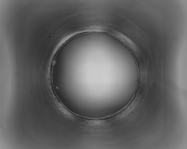 X0000112181192200908141319