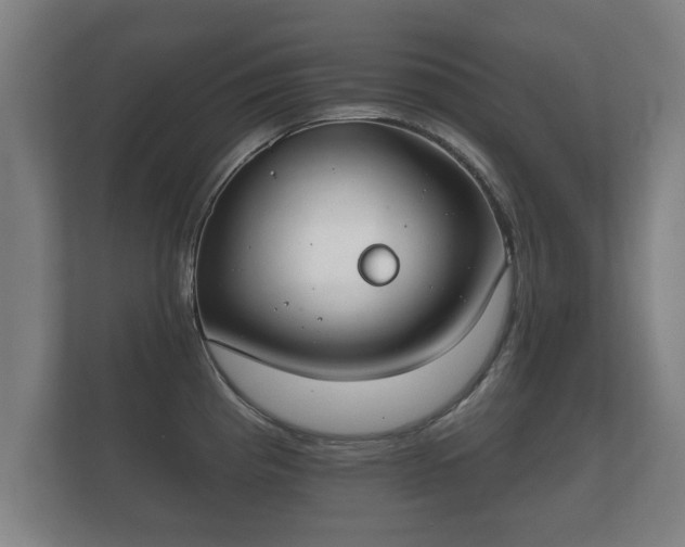 X0000112181193200908141319