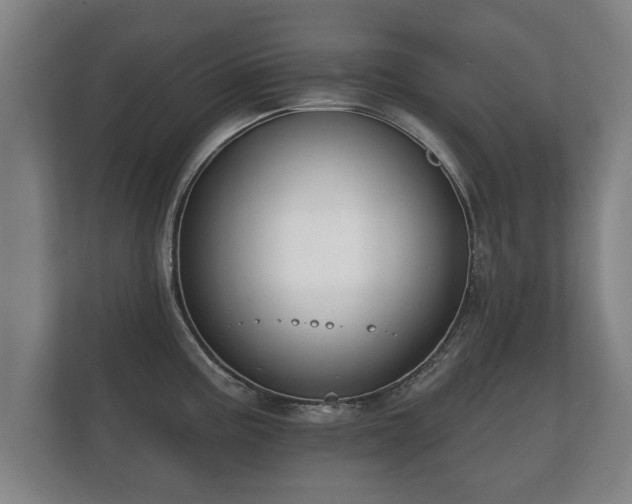 X0000112181195200908141319