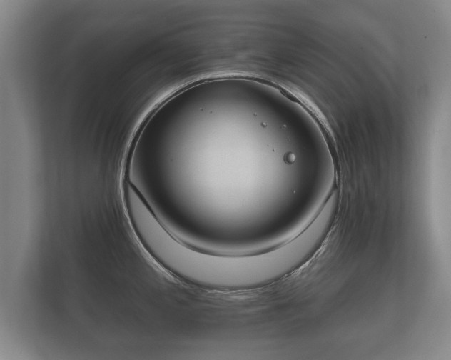 X0000112181197200908141319