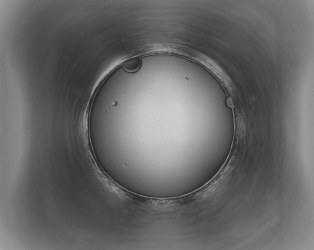 X0000112181198200908141319