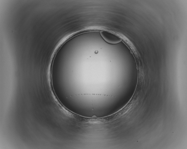 X0000112181199200908141319