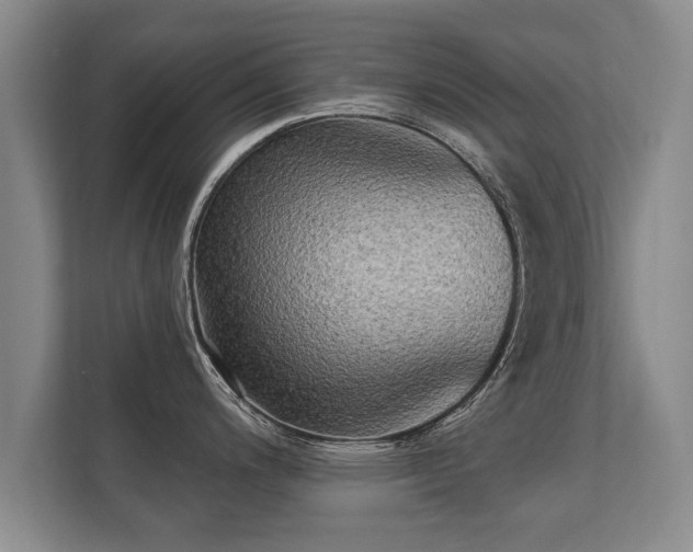 X0000112181200200908141319