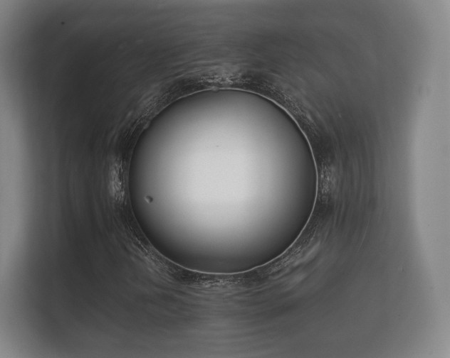 X0000112181202200908141319