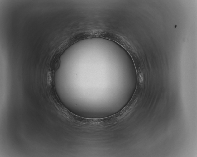 X0000112181204200908141319