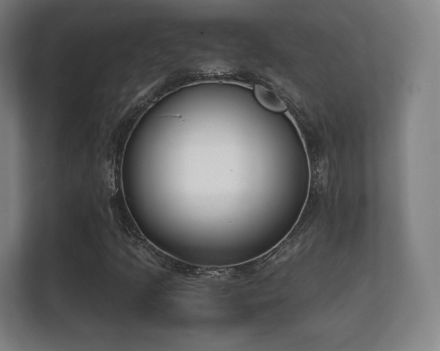 X0000112181205200908141319