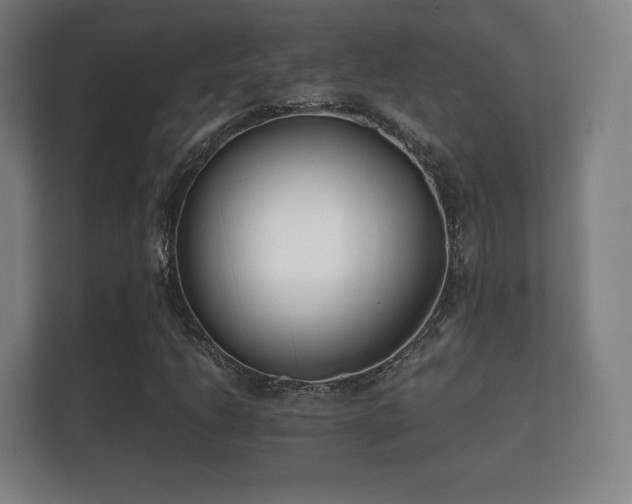 X0000112181206200908141319