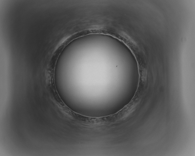 X0000112181208200908141319