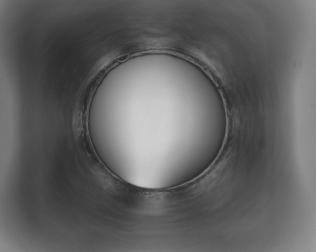 X0000112181211200908141319