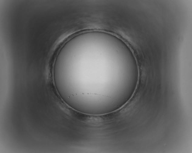 X0000112181215200908141319