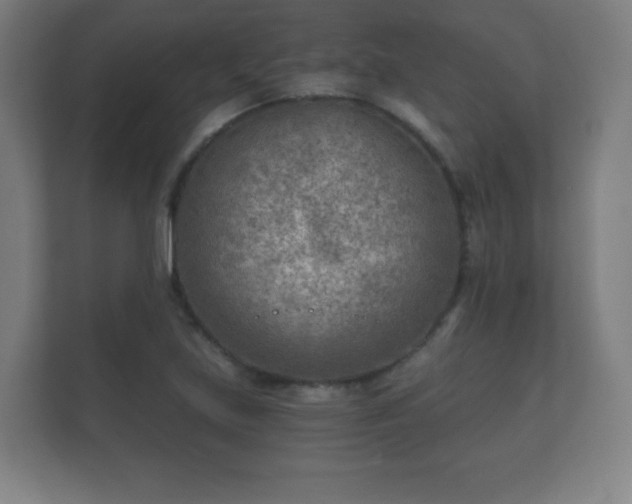 X0000112181219200908141319