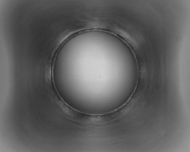 X0000112181220200908141319