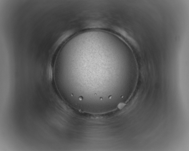 X0000112181221200908141319